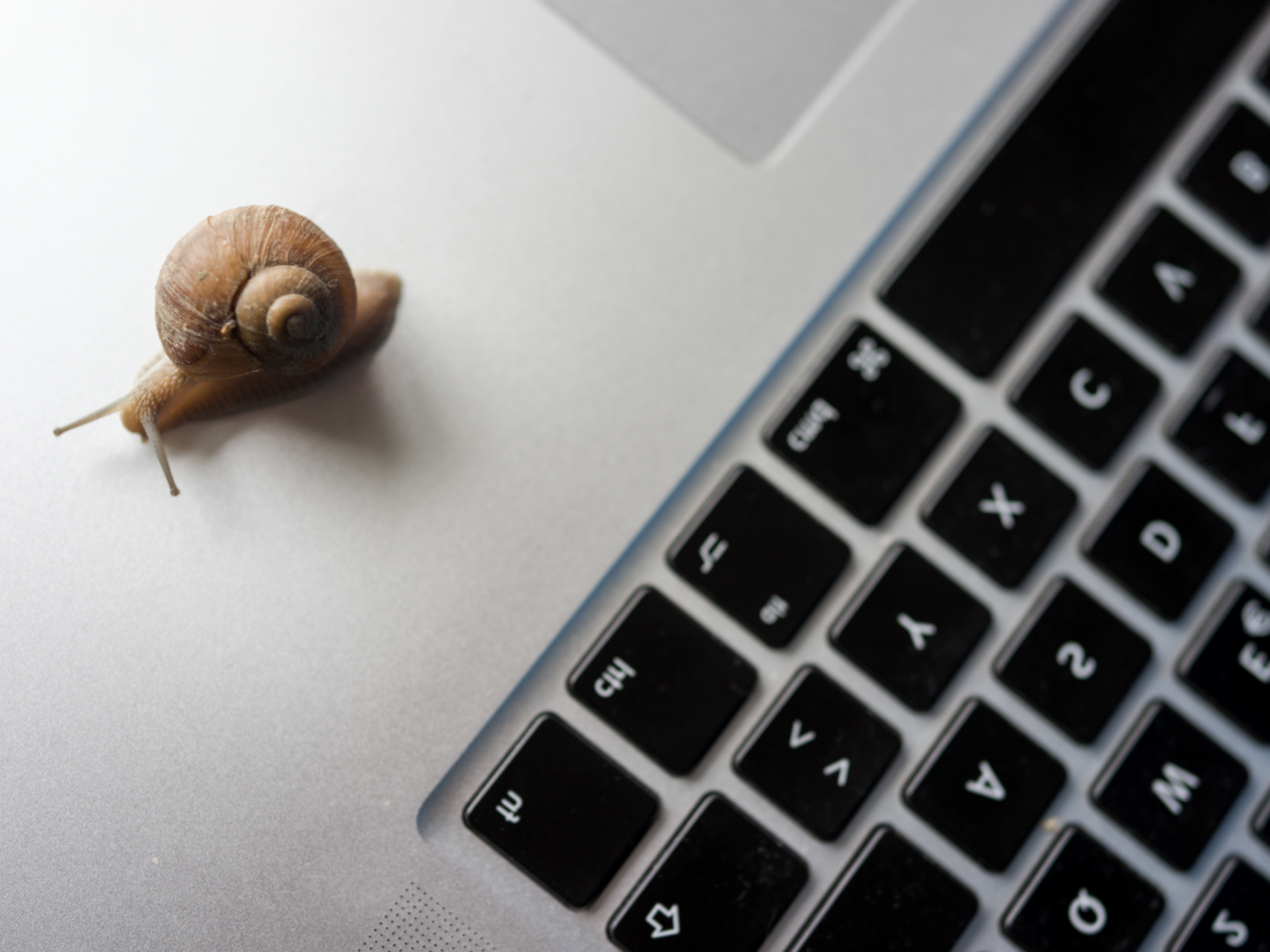 How to Fix Slow Internet Speed and Strengthen Security: IT's Double Play